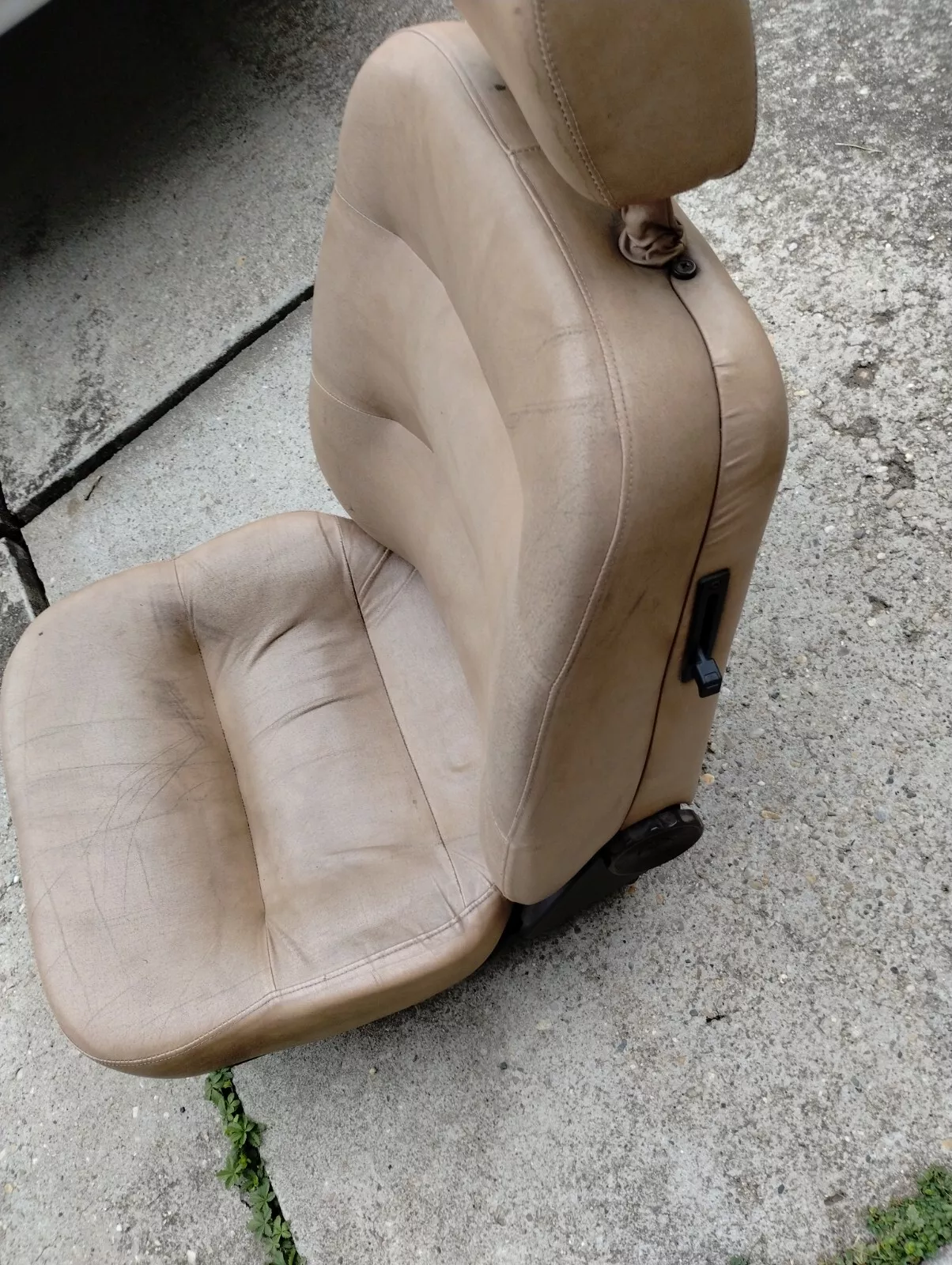 Full size image 11