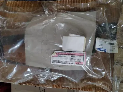 Chrysler, Mopar, original Fensterheber Nr.: 55076466AE