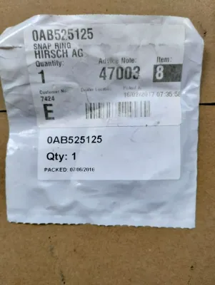 ORIGINAL BENTLEY Sicherungsring 2 Stk. Nr: 0AB525125