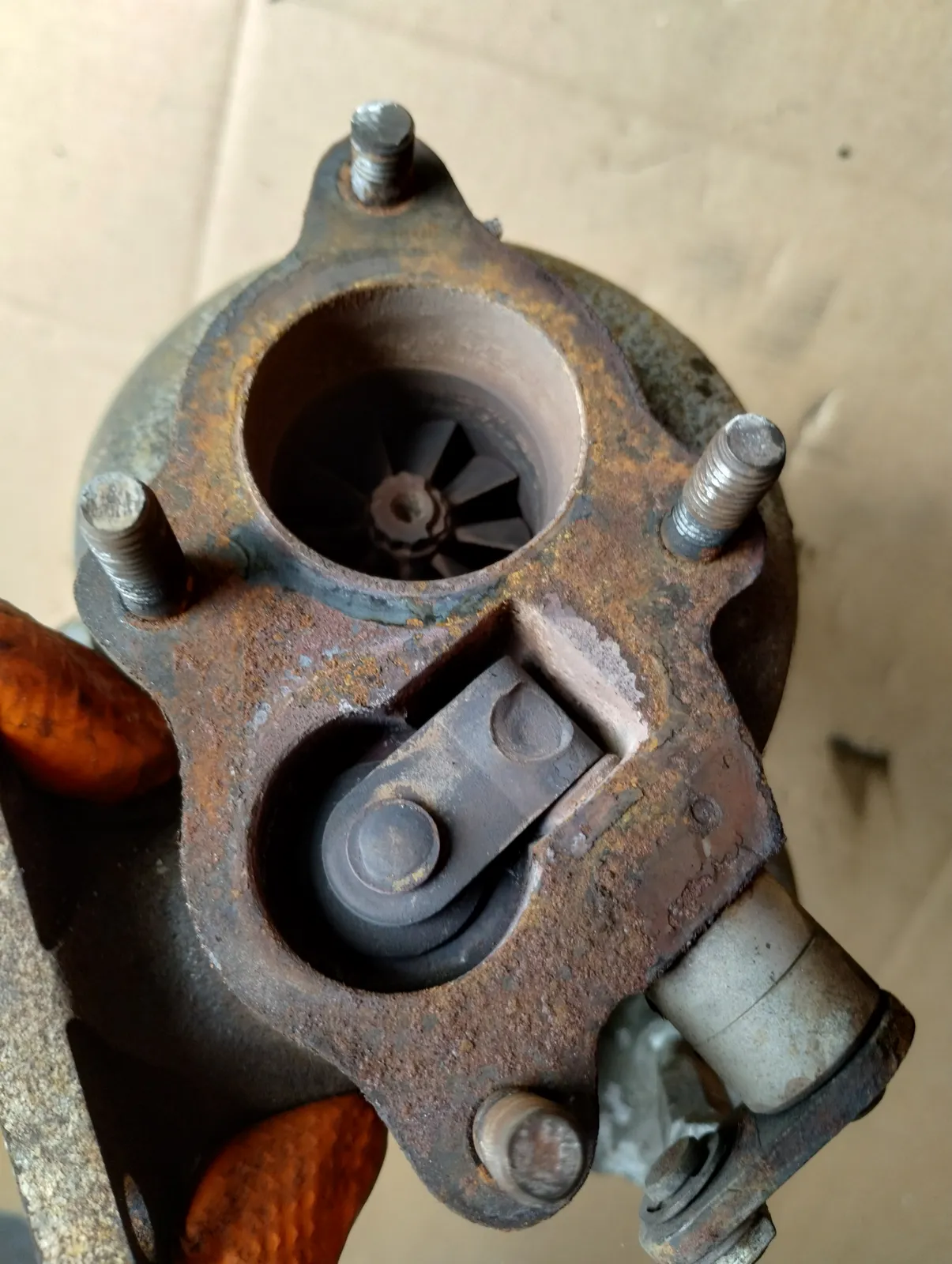 Full size image 3