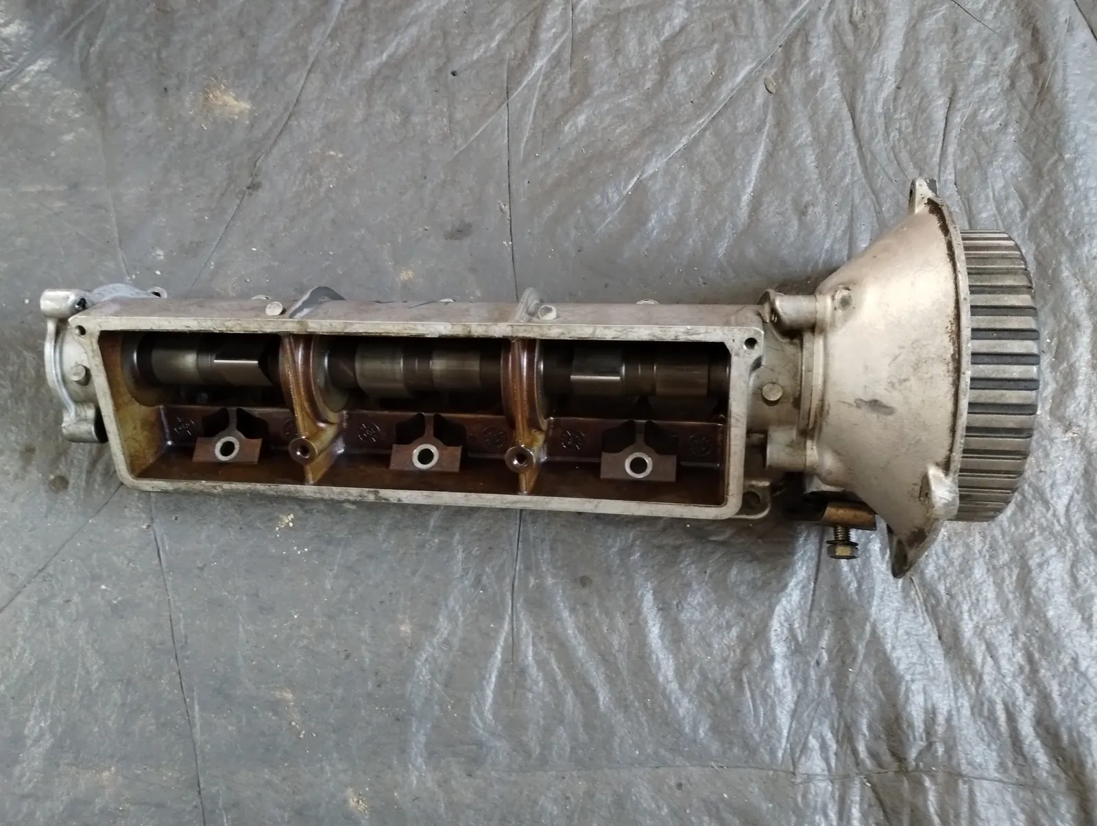 Full size image 1