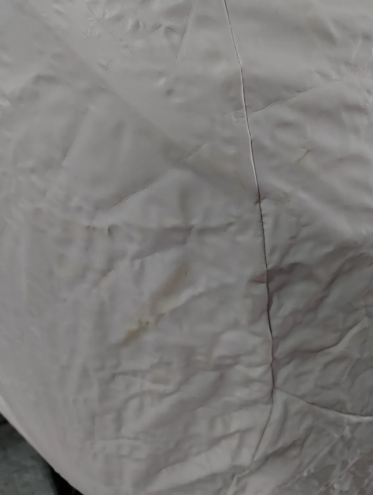 Full size image 4